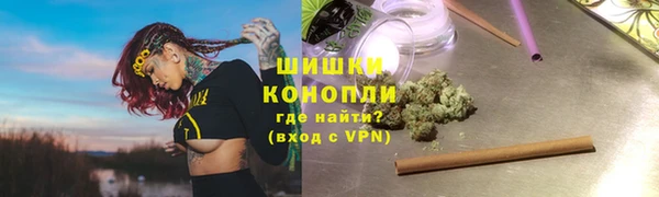 крисы Баксан