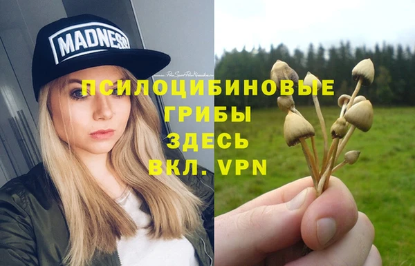 ALPHA PVP Пестово