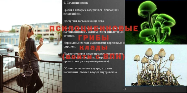 ALPHA PVP Пестово