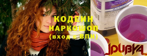 крисы Баксан