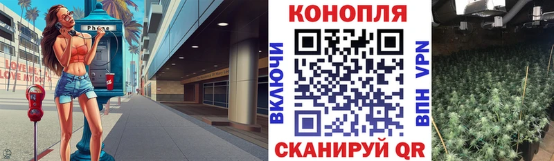 Бошки Шишки планчик  Купить закладки  Тимашёвск 